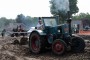 Thumbs/tn_De Walm 2022 170.jpg